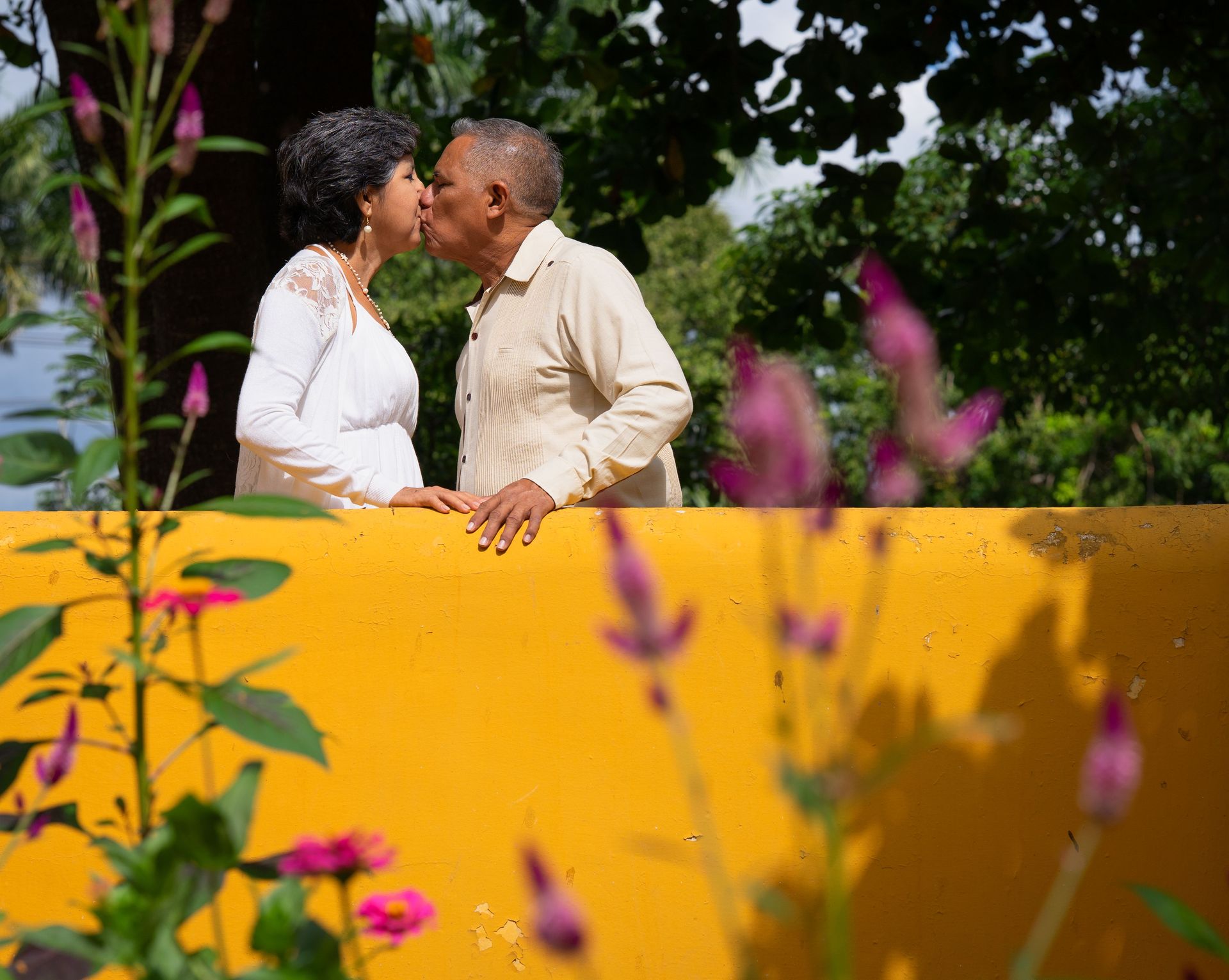 An older couple kissing over a sunlit golden wall framed by pink garden blooms