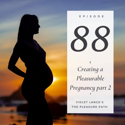Creating a Pleasurable Pregnancy part 2